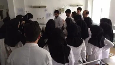2461089.jpg
