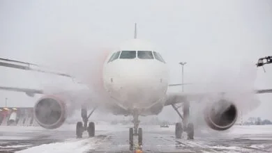 3009256.jpg