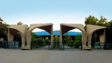 3205643.jpg
