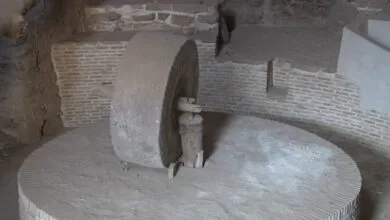 3751577.jpg