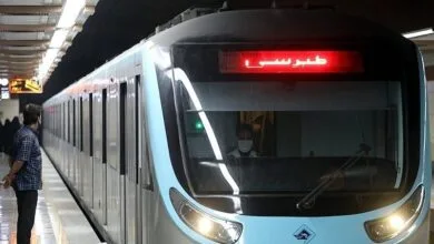 3825390.jpg