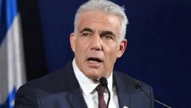4355590.jpg