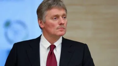 4621311.jpg