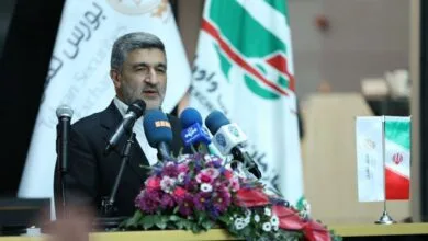 پاسخ رئیس سازمان بورس در مورد نحوه قیمت گذاری عرضه های اولیه