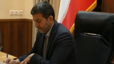 5221603.jpg