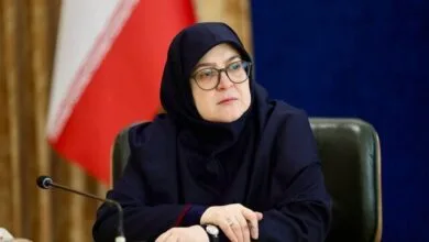 5307446.jpg