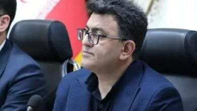 5317084.jpg