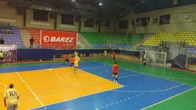 5337002.jpg