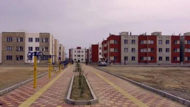 5349209.jpg