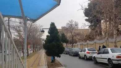 5351656.jpg