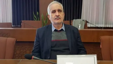 62159019.jpg