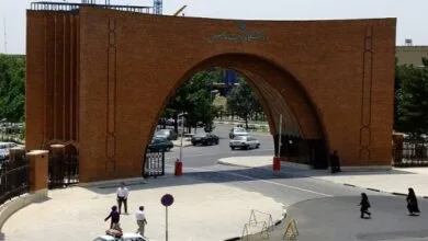 62913223.jpg