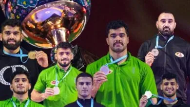 63306086.jpg