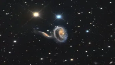 63312444.jpg