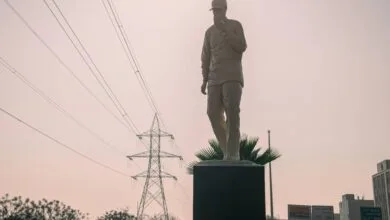 63314449.jpg