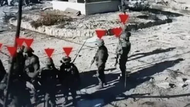 63317363.jpg