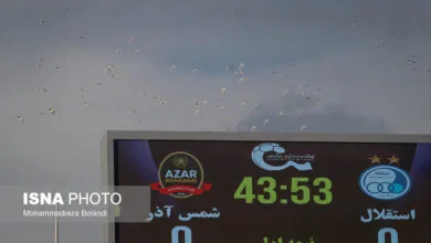63324790.jpg