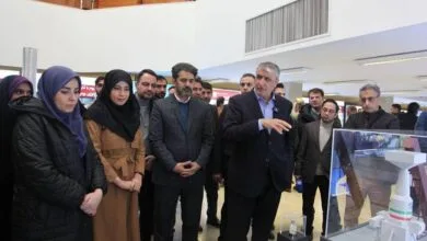 63325250.jpg