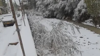 63327113.jpg