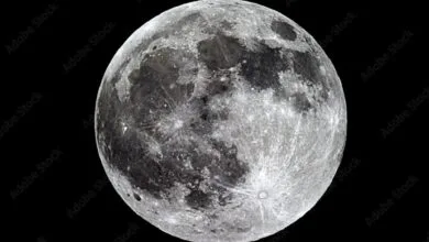 63334745.jpg