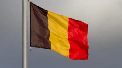 4124093.jpg