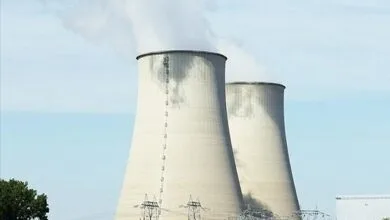 4261801.jpg