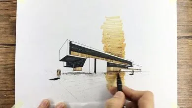 4505599.jpg