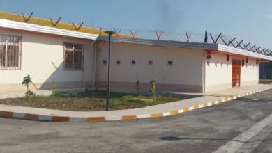 4783757.jpg
