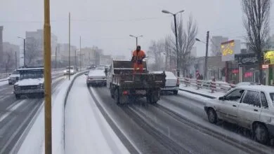 4815749.jpg