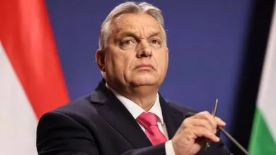 5019806.jpg