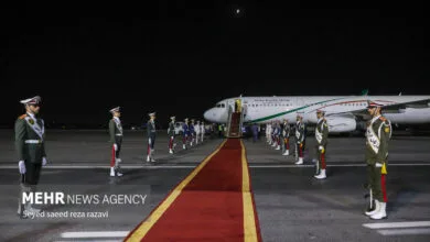 5199520.jpg