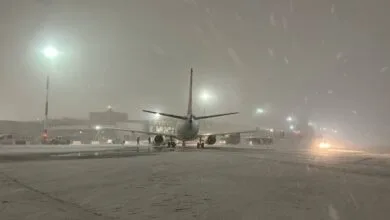 5289606.jpg
