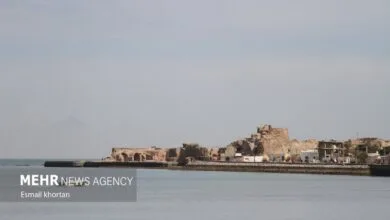 5347907.jpg