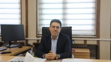 5357146.jpg