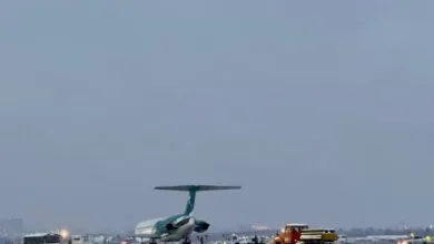 5374705.jpg