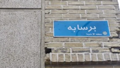 5384945.jpg