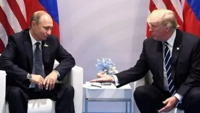 5392652.jpg