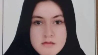 5393529.jpg