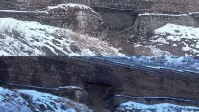 5395452.jpg