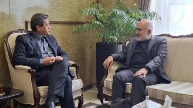 پیگیری مصوبات سفر رئیس جمهور با حضور استاندار خوزستان و وزیر اقتصاد