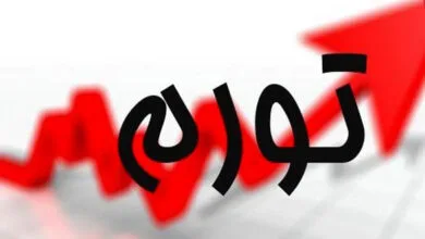 57550657.jpg
