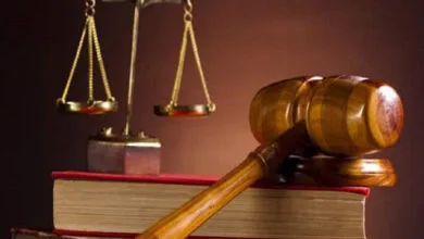 61861048.jpg