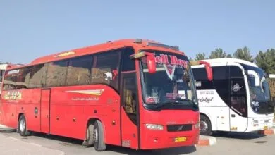 62951587.jpg