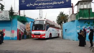 63331960.jpg