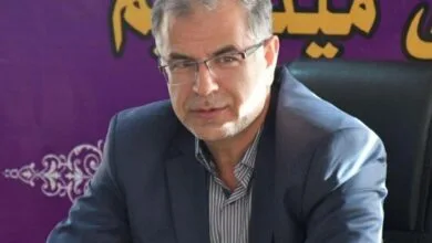 63347025.jpg
