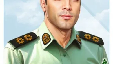 63374646.jpg