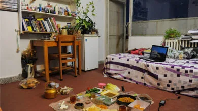 ساخت برجهای سهقلو؛ نخستین خوابگاه دانشجویی سبز در دانشگاه تهران ساخت برجهای سهقلو؛ نخستین خوابگاه دانشجویی سبز در دانشگاه تهران