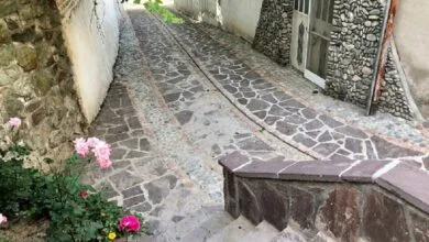 5349215.jpg