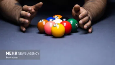 5369247.jpg