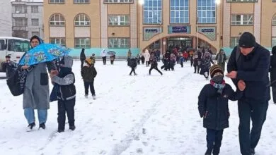 5380208.jpg